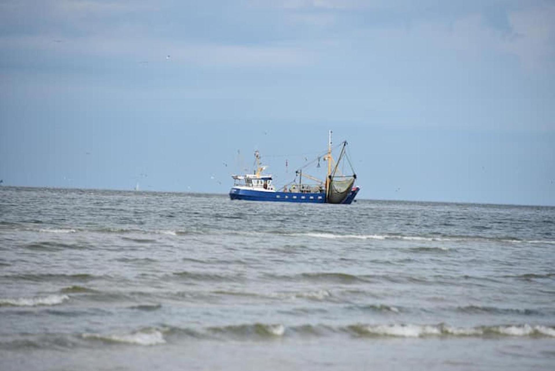 Chalet Zeester J38 Ameland Buren  Exteriör bild